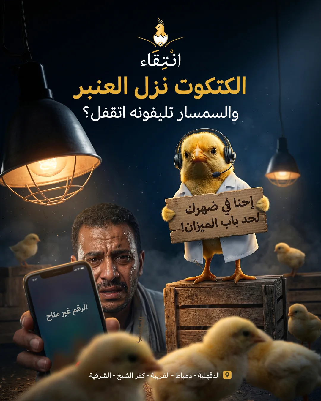 الكتكوت-نزل-العنبر